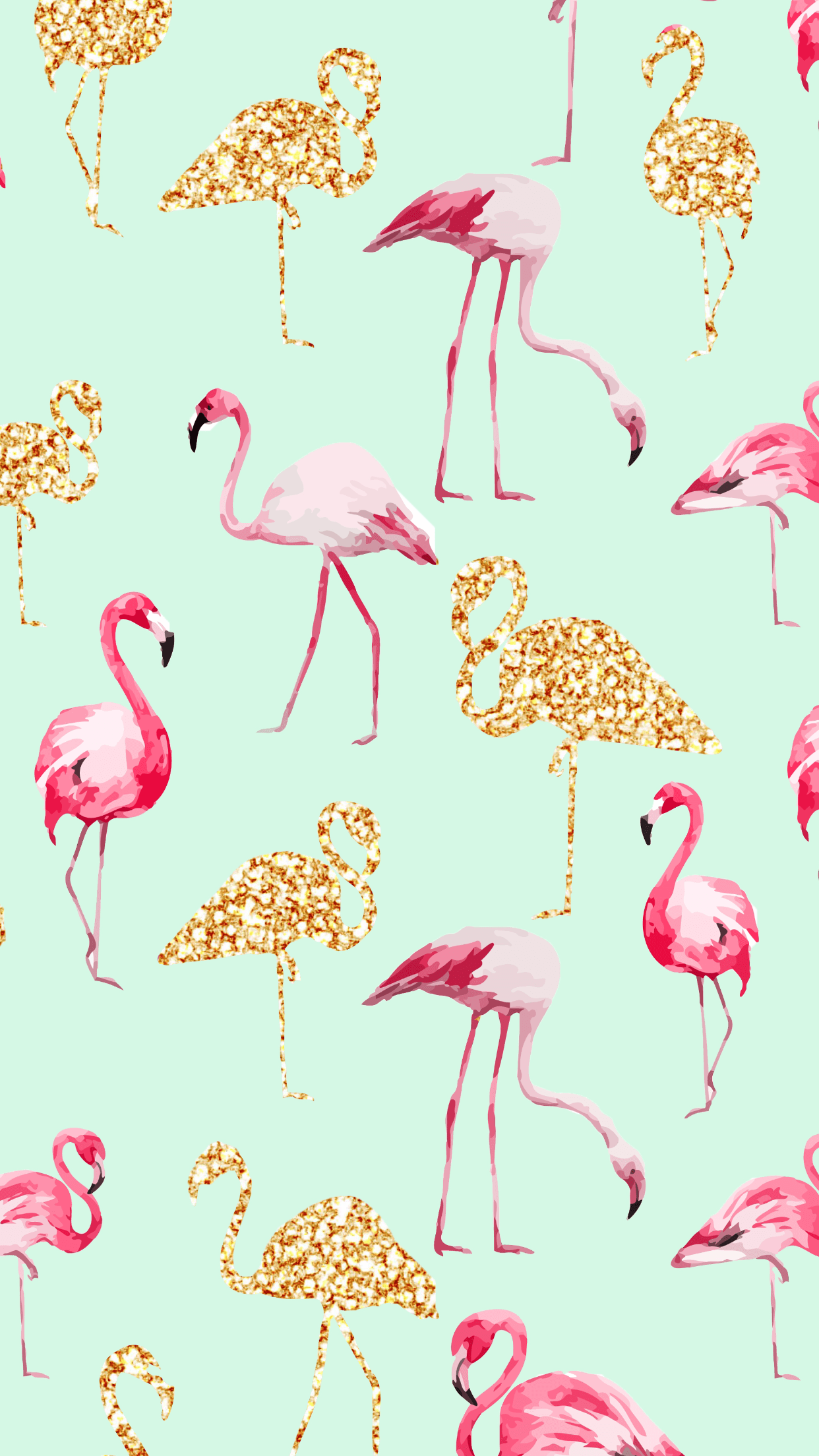 Flamingo. lB⅁. iPhone wallpaper, Wallpaper