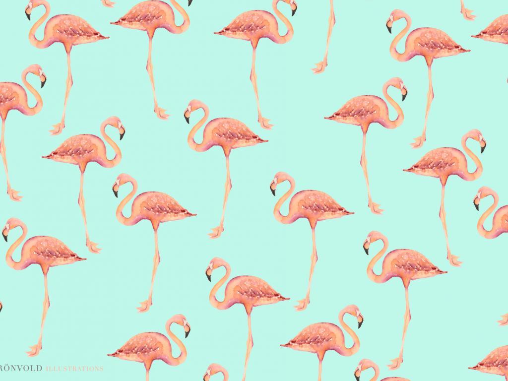 Flamingo Wallpaper 2 X 1161
