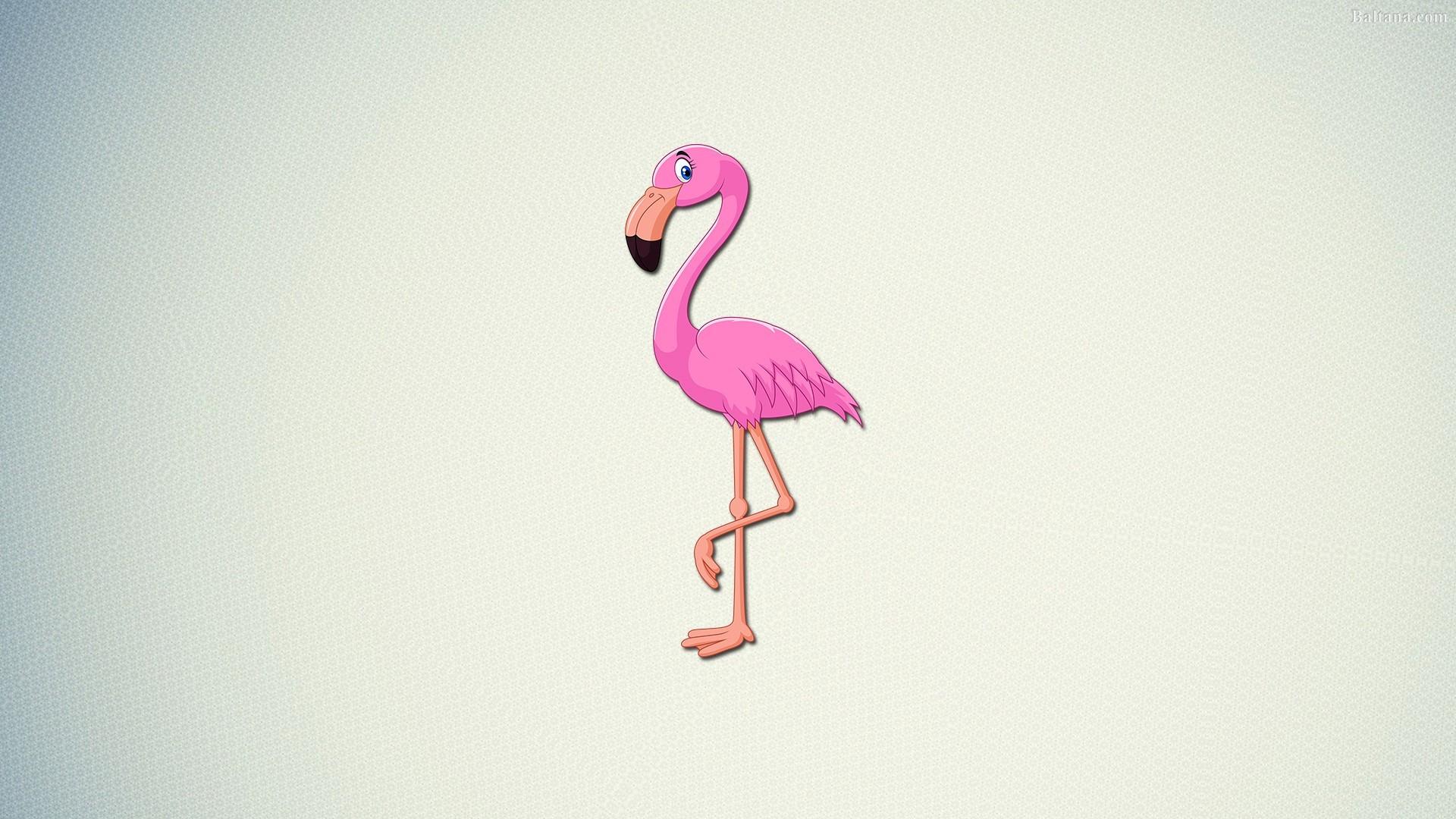 Flamingo Wallpaper HD Background, Image, Pics, Photo Free