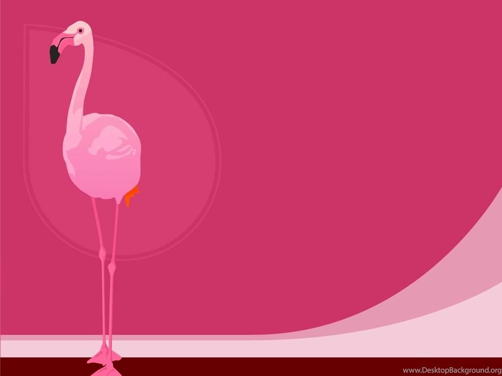 Cartoon Flamingo Wallpaper Desktop Background