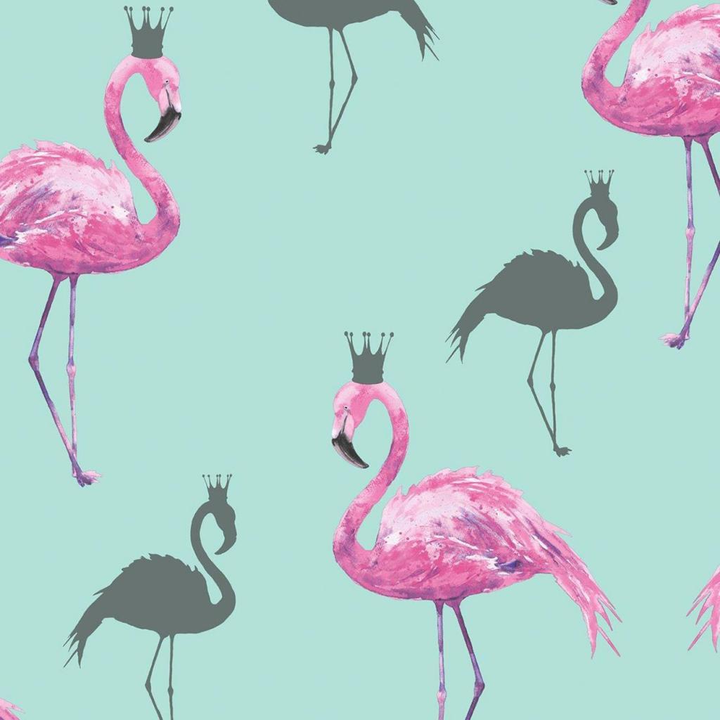 Flamingo Wallpaper 7 X 1300