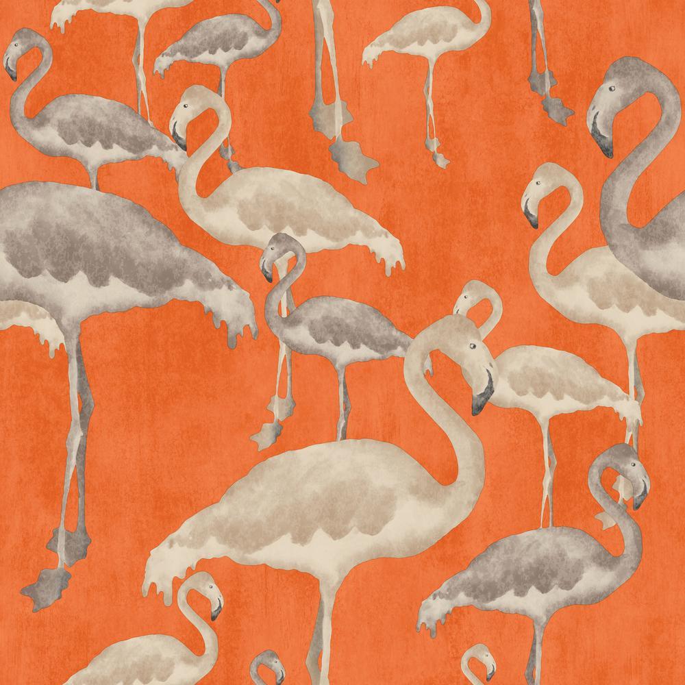 Arthouse Flamingo Wallpaper Beautiful How to Use Nature Inspire