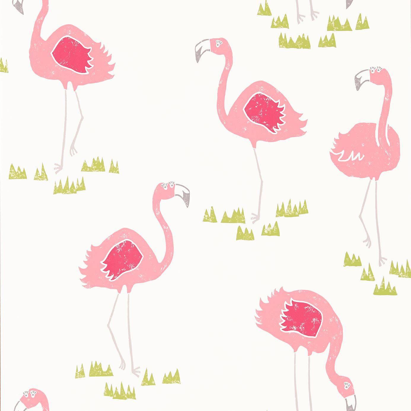 Felicity Flamingo Wallpaper Chalk