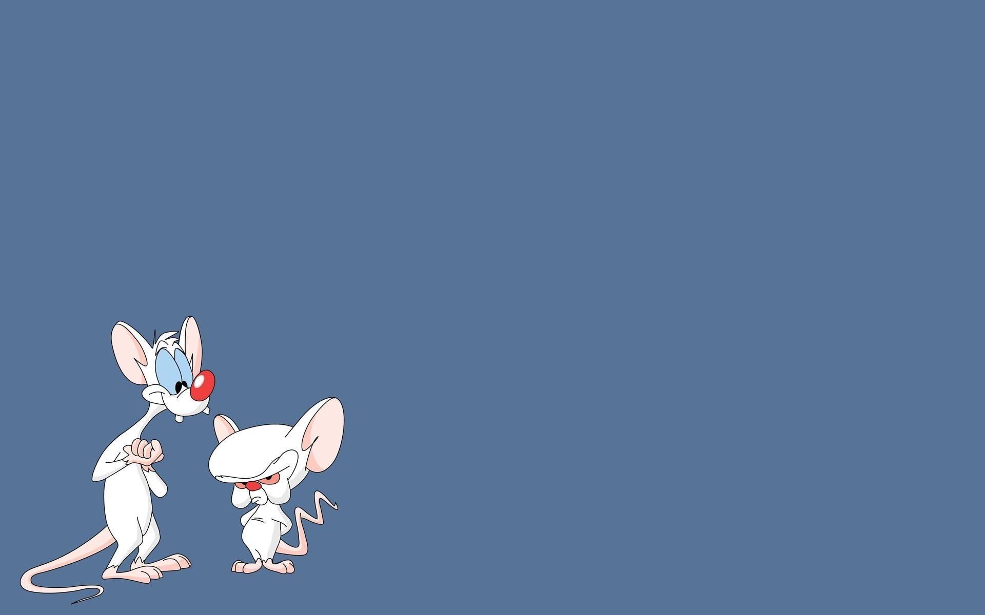 Best 57+ Pinky and the Brain Wallpapers on HipWallpapers
