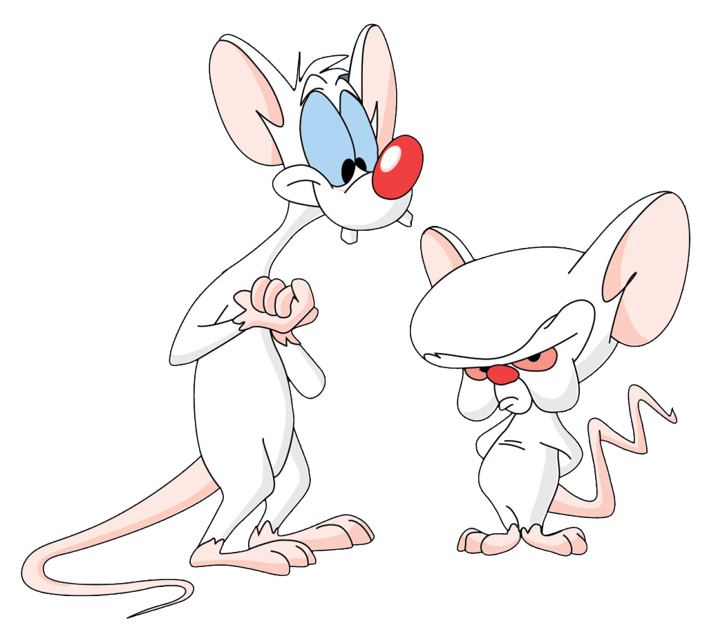 Pinky And The Brain. pinky and the brain intro youtube