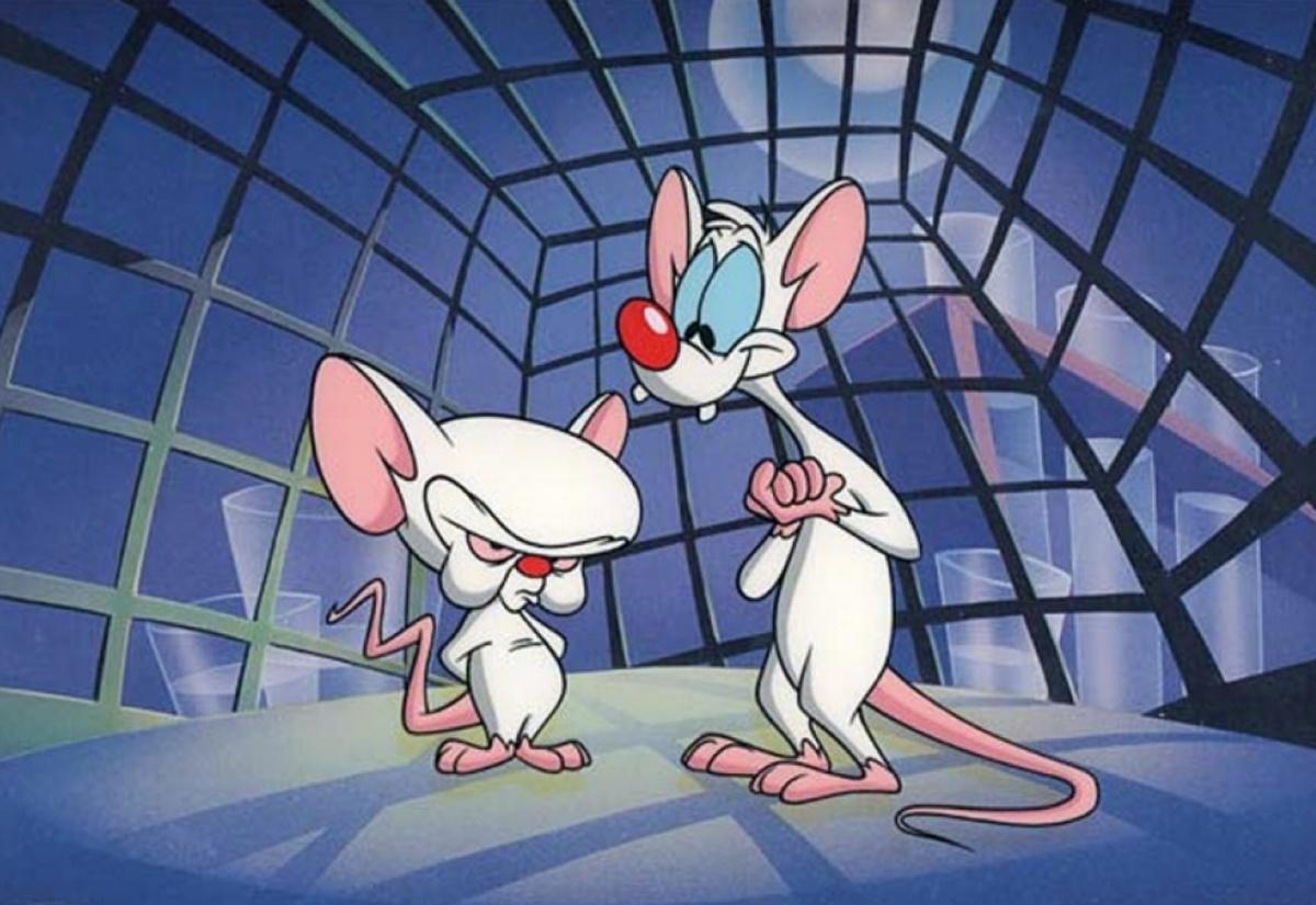 1200x825px 251.52 KB Pinky And The Brain