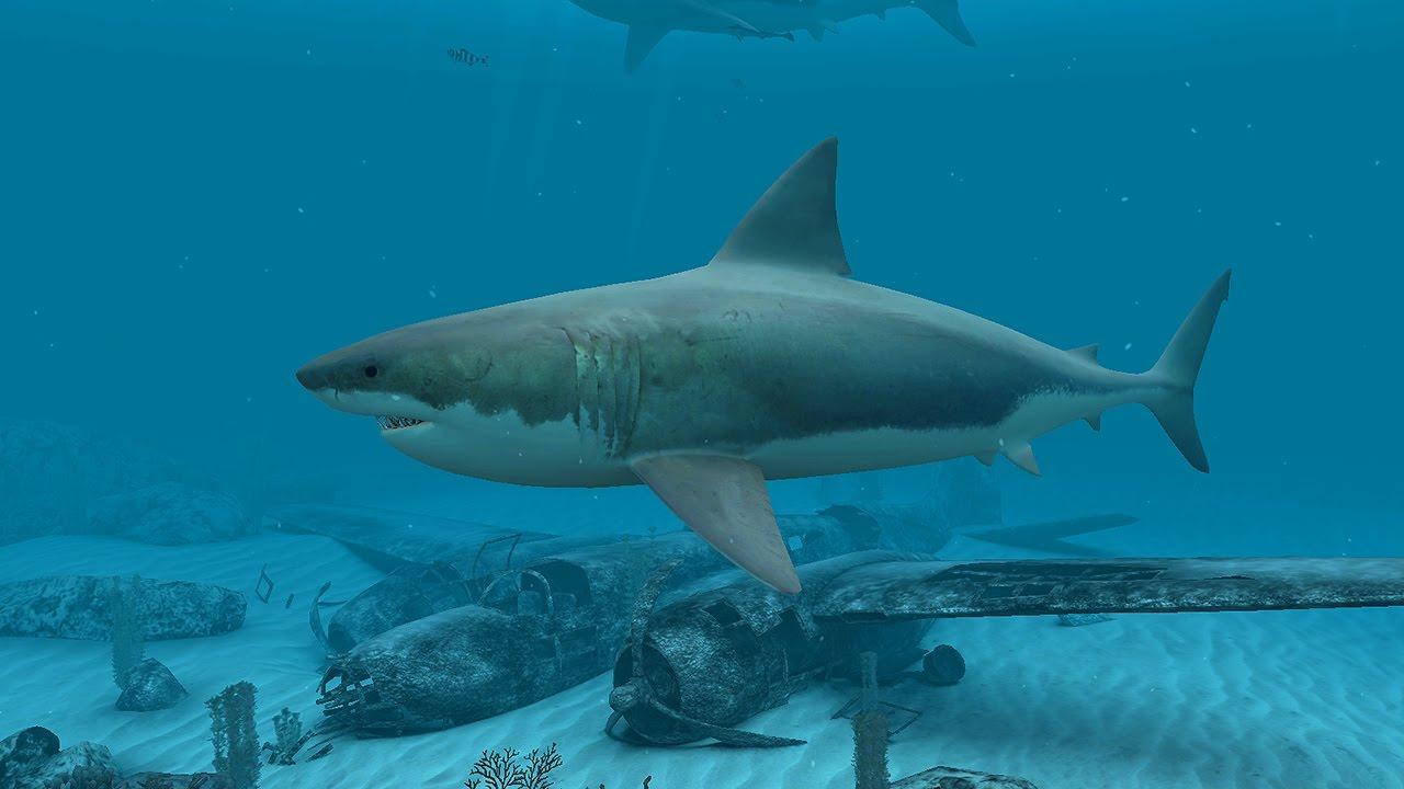 Sharks White 3D Screensaver & Live Wallpaper HD