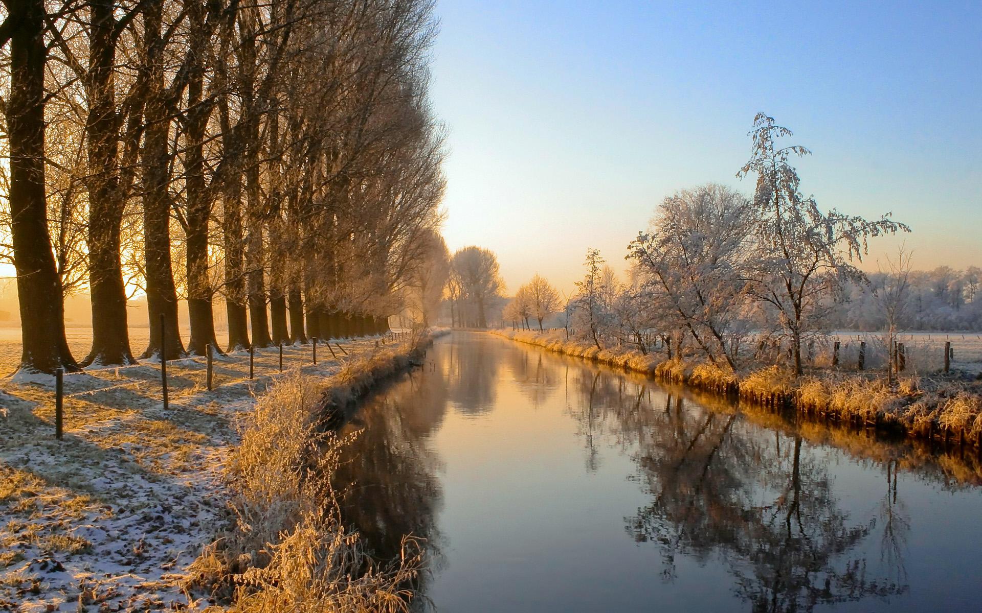 landscapes, winter, trees, riverside wallpaper