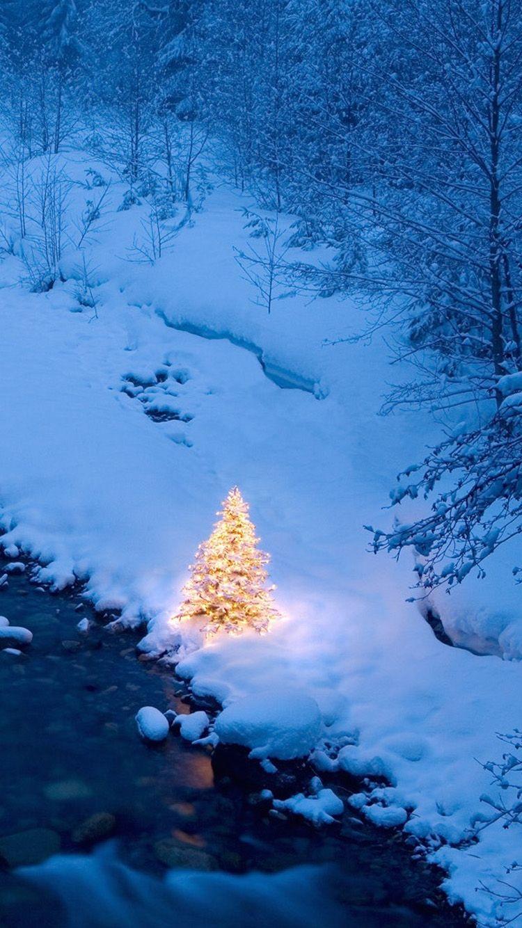 Riverside Christmas Tree iPhone 6 Wallpaper 6 Wallpaper