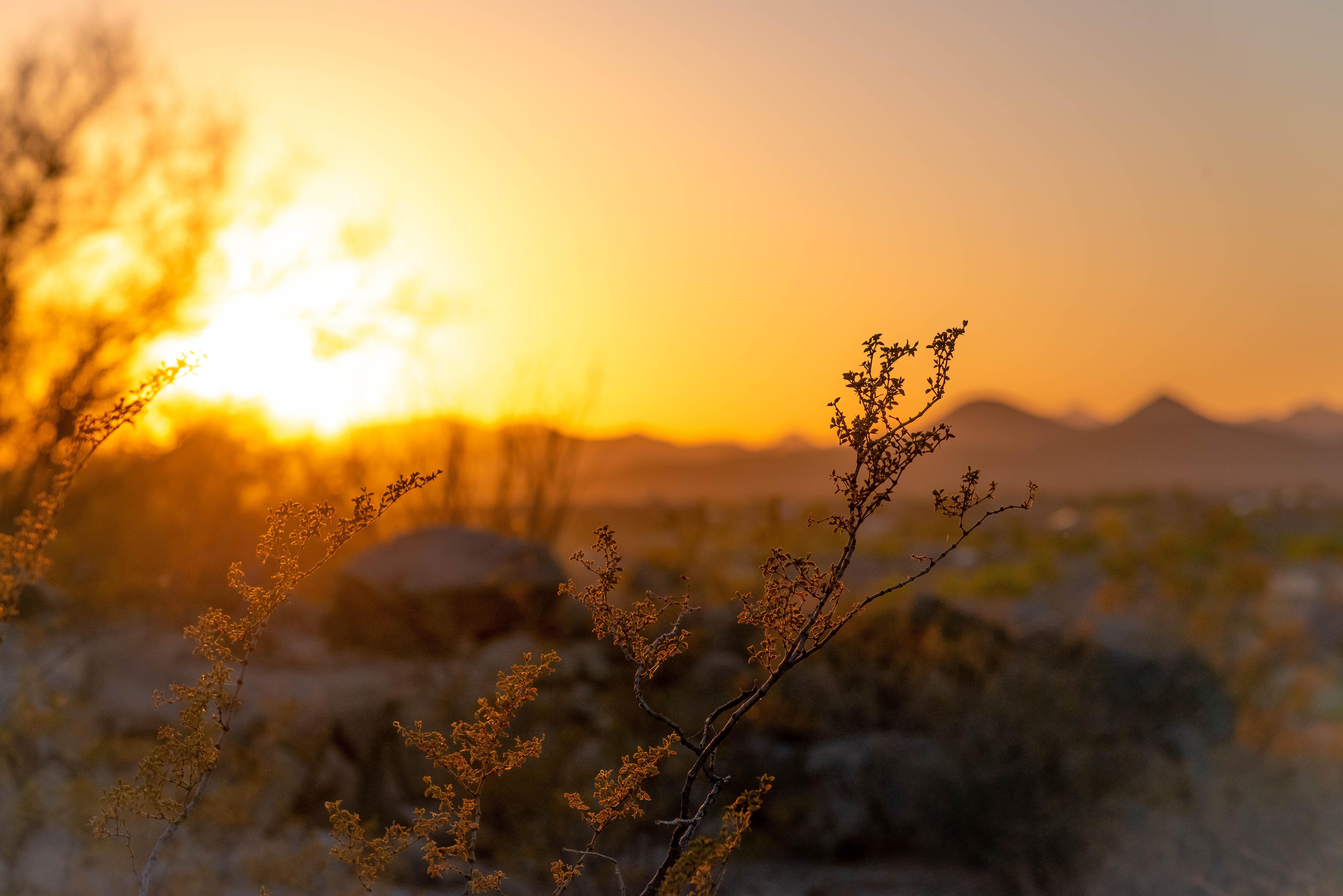 Beautiful Background Nature Blur Sun Rays Wallpaper Hd Images