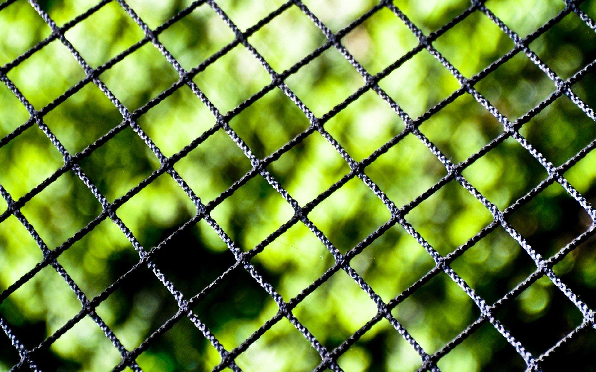 Close Up Nature Fences Chain Link Fence Blurred Background Wallpaper