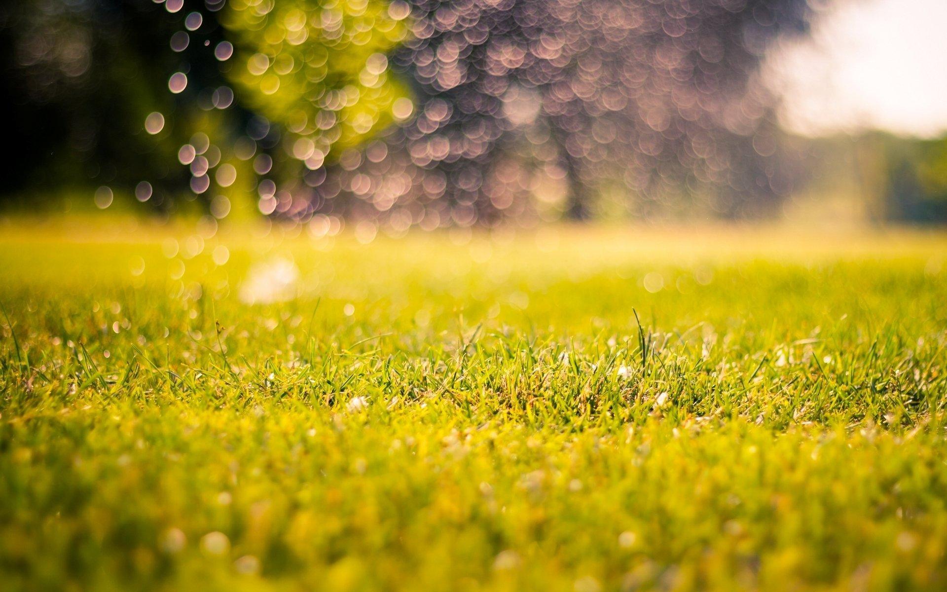 Blurred park with bokeh light, natural background