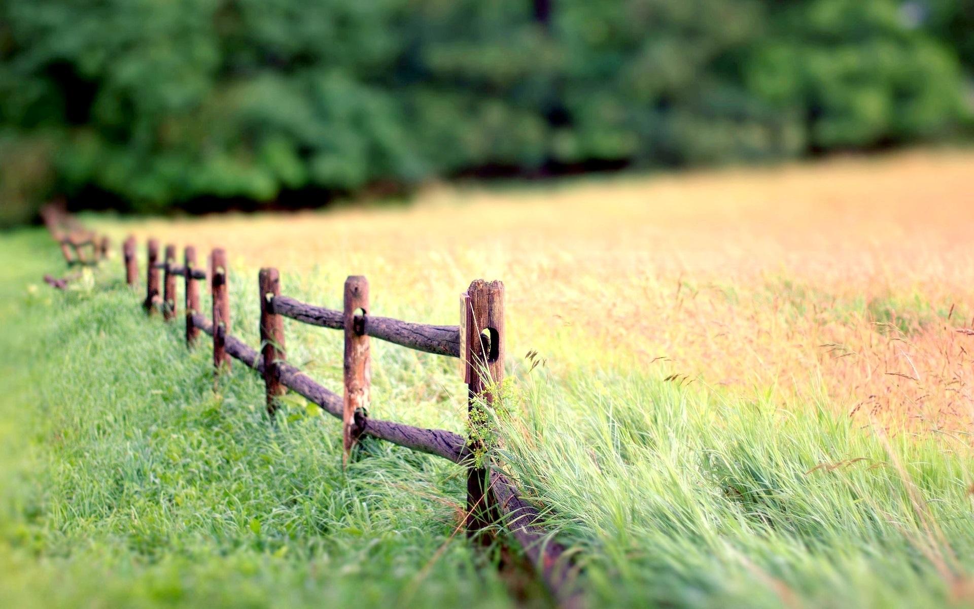 Wallpaper Nature landscape, fence, grass, blur background 1920x1200