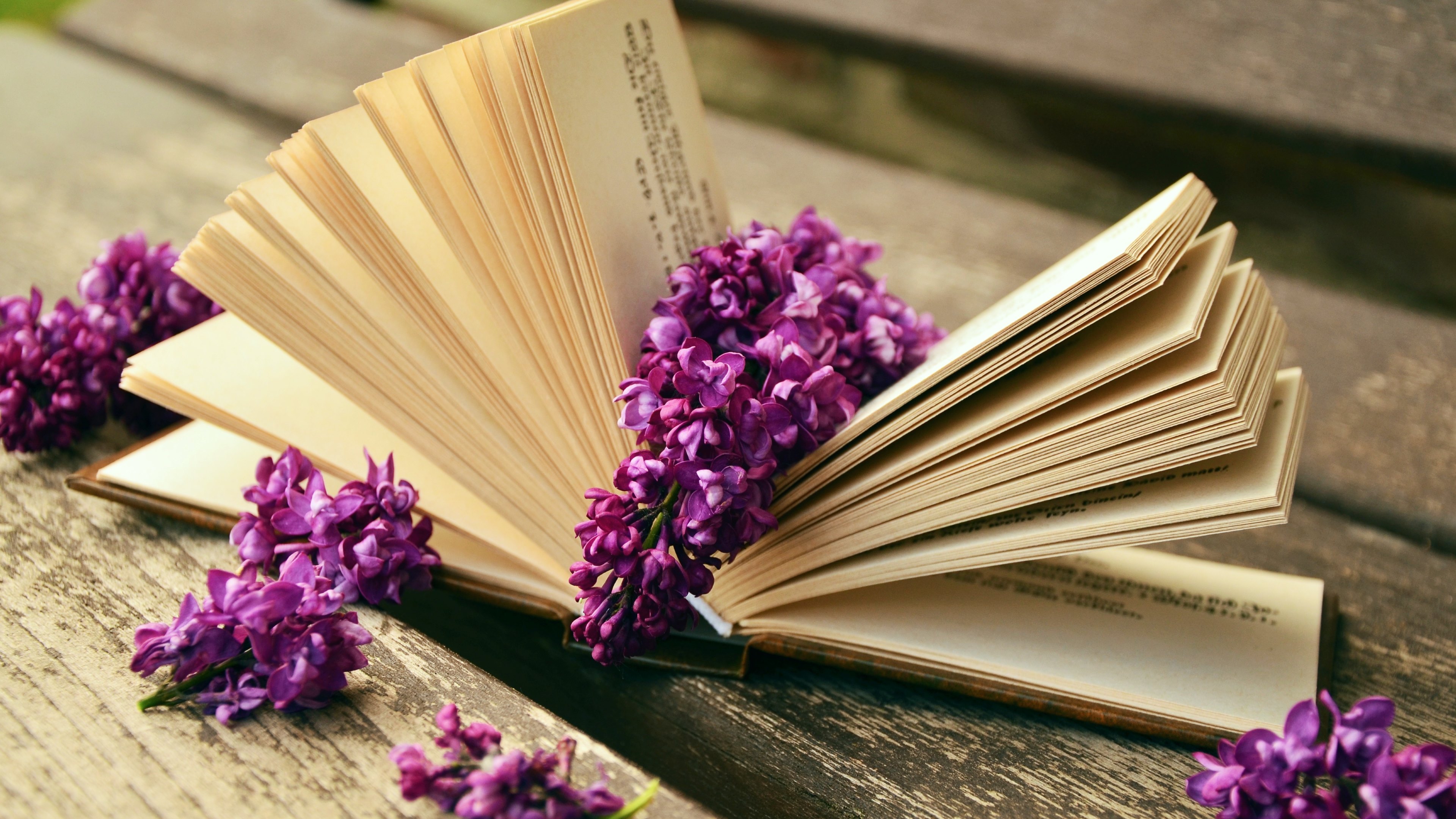 Lilac flowers and a good book 4k Ultra HD Wallpaper. Background