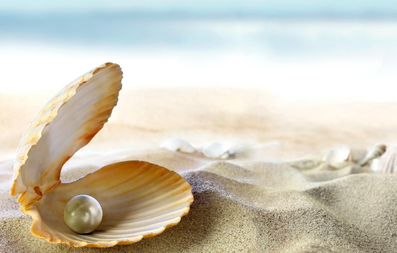 Wallpaper sand, sea, beach, the sun, tropics, the ocean, shell, beach, sand, seashell, pearl, perl image for desktop, section макро