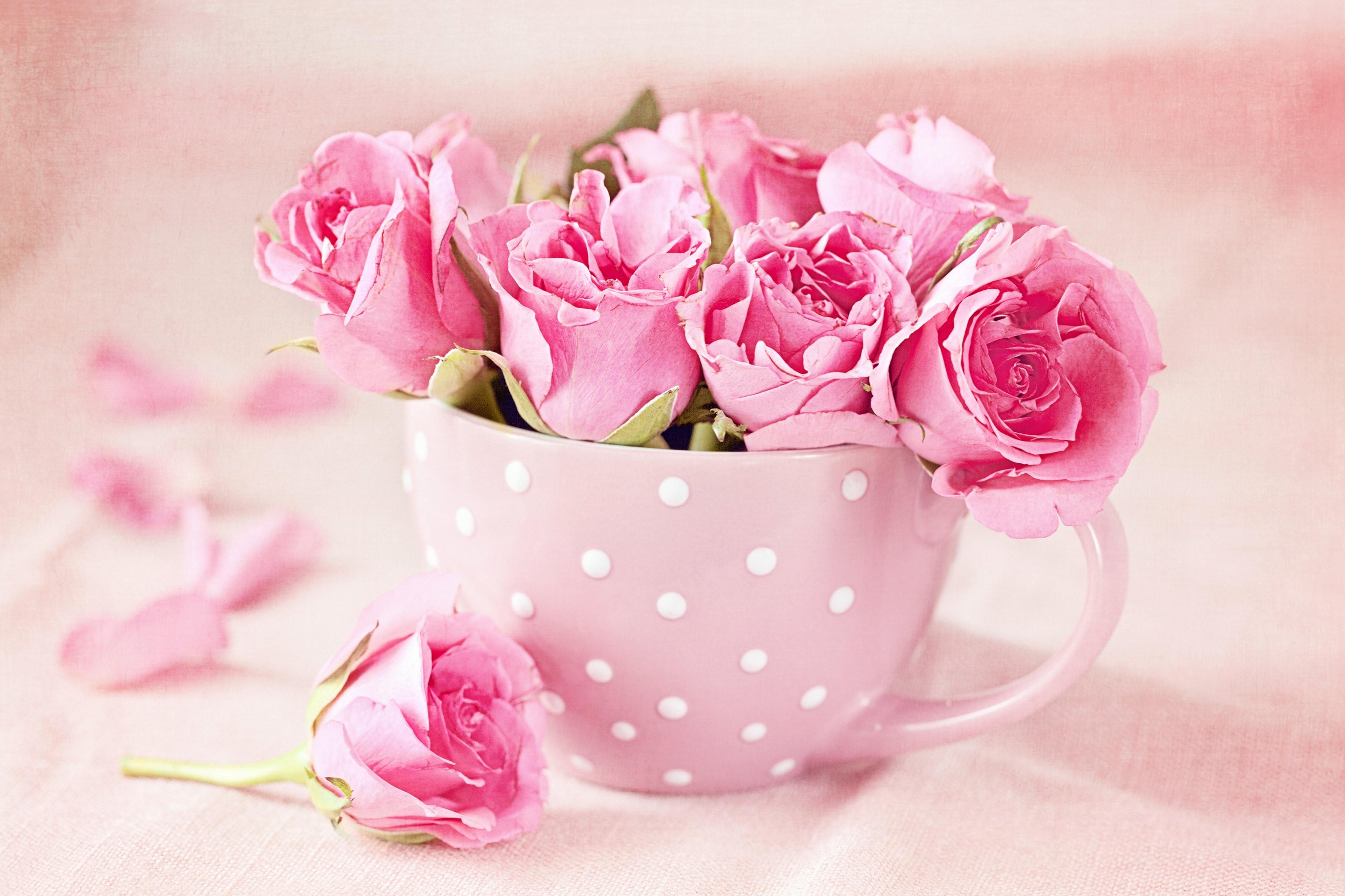 Flowers: Texture Buds Mug Pink Cup Rose Nature Wallpaper Pc Desktop