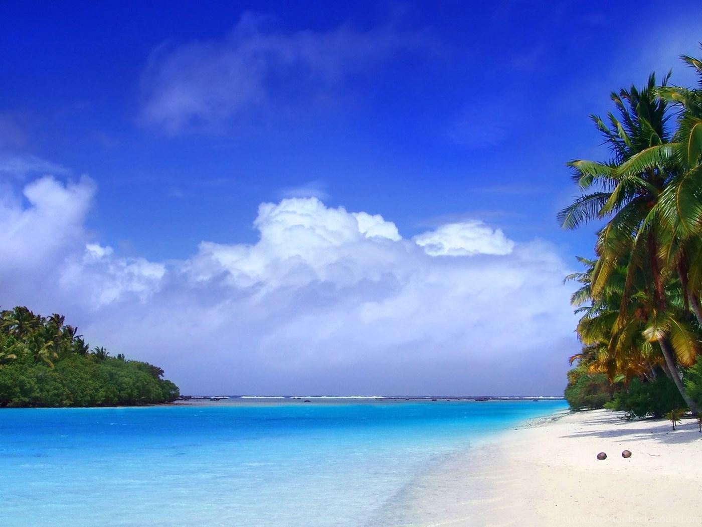 Tropical Rainforest Wallpaper, Beach Picture And Image Desktop
