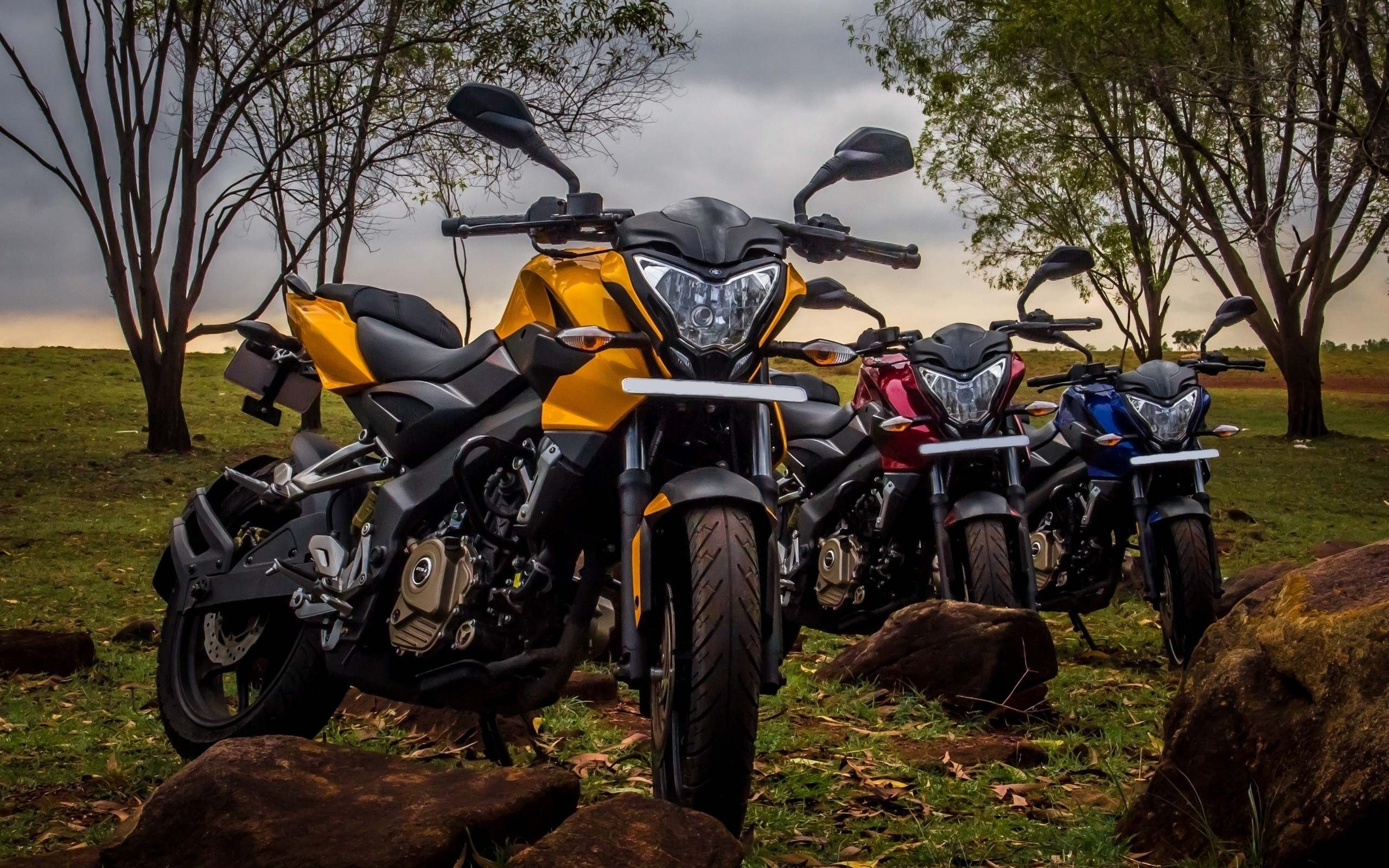 Colorful Pulsar Ns Motorcycles Full Hd Wallpaper PIC MCH053490