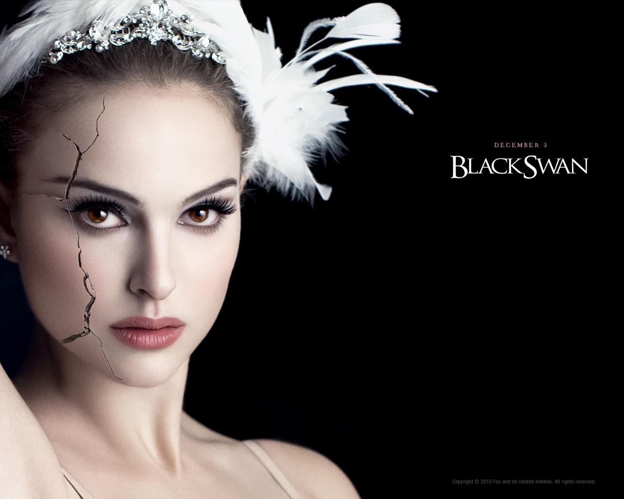 Black Swan Wallpaper and Background Imagex1024