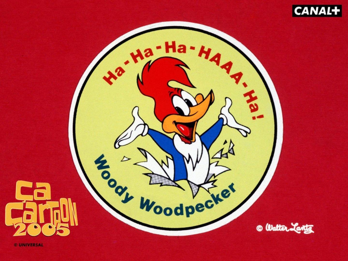 Woody Woodpecker Wallpapers 1080p