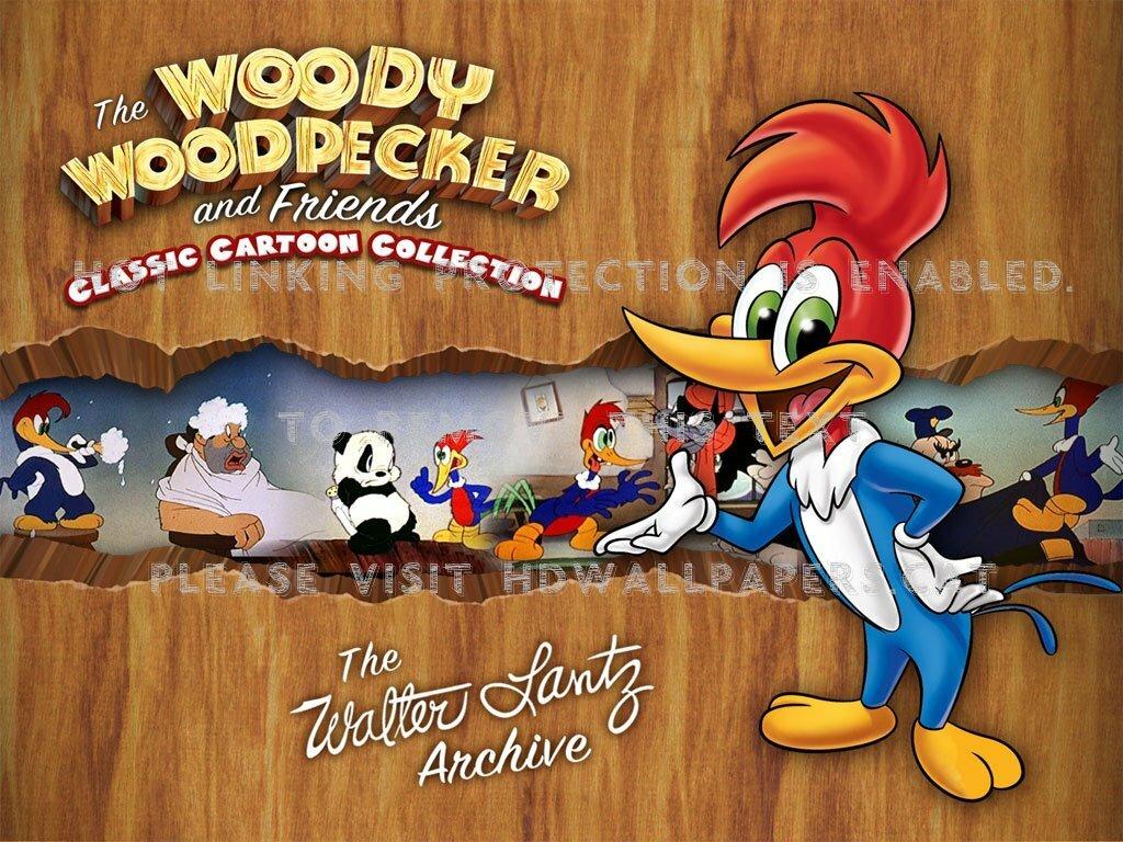 woody woodpecker funny cartoon