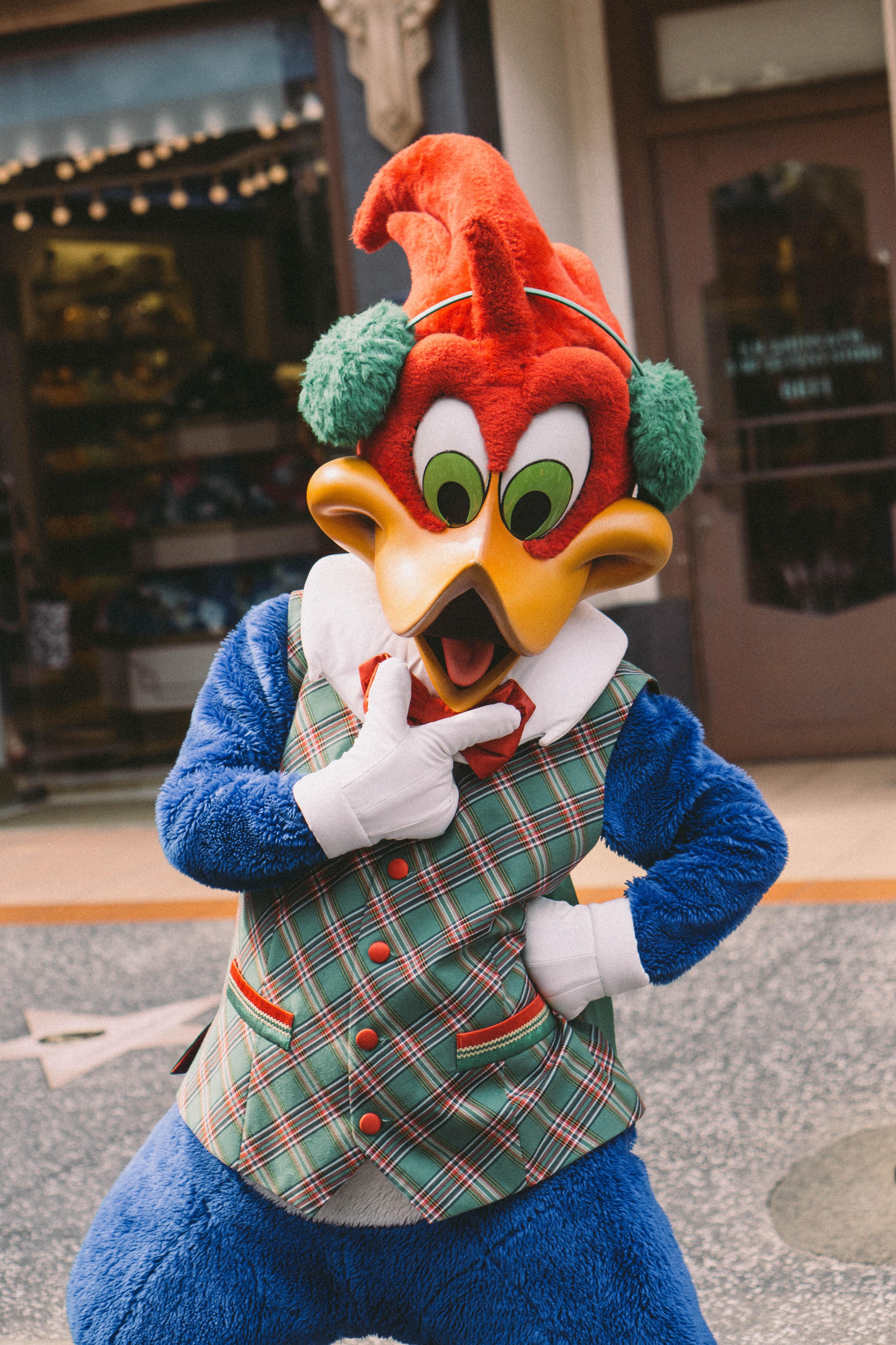 Photo of Woody Woodpecker Mascot · Free Stock Photo