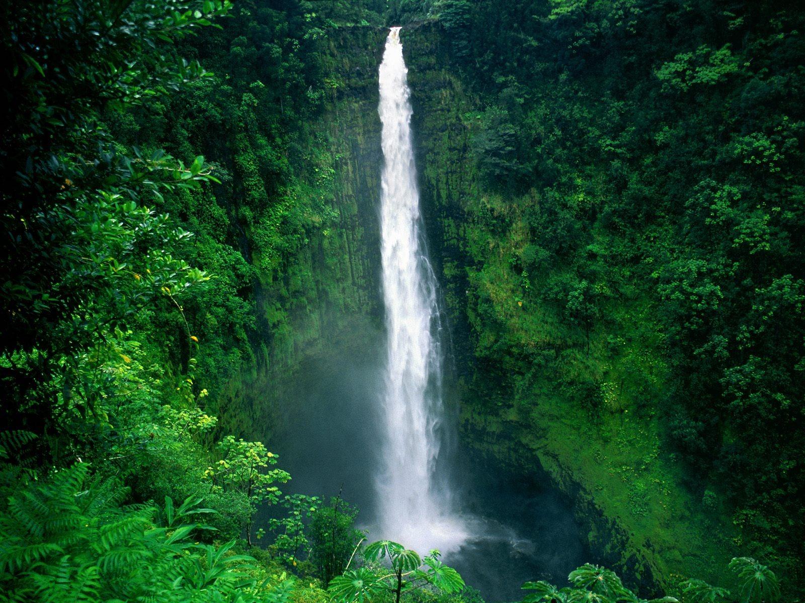 Akaka Falls Wallpaper Waterfalls Nature Wallpaper in jpg format
