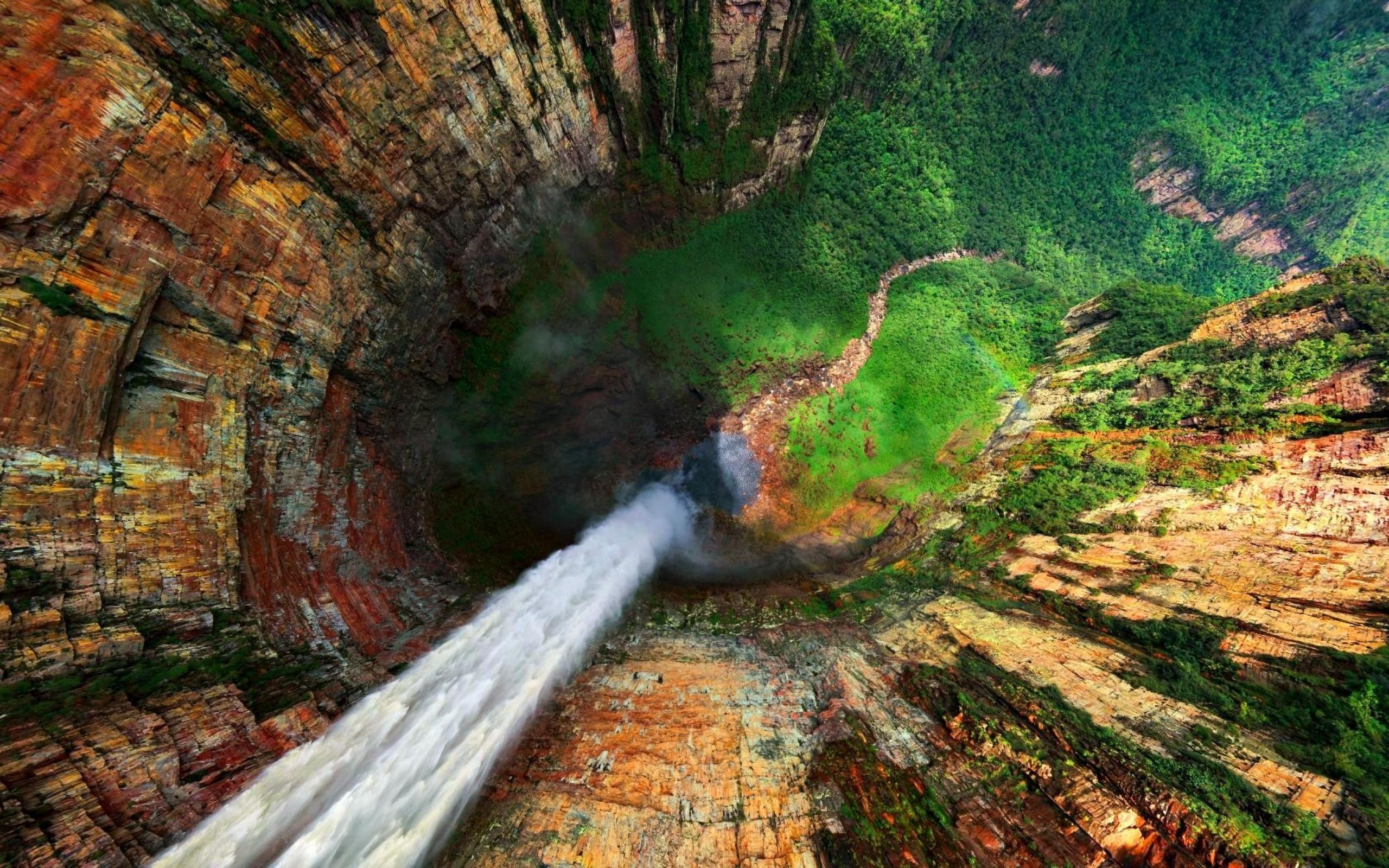 Amazing Forest Falls #Wallpaper