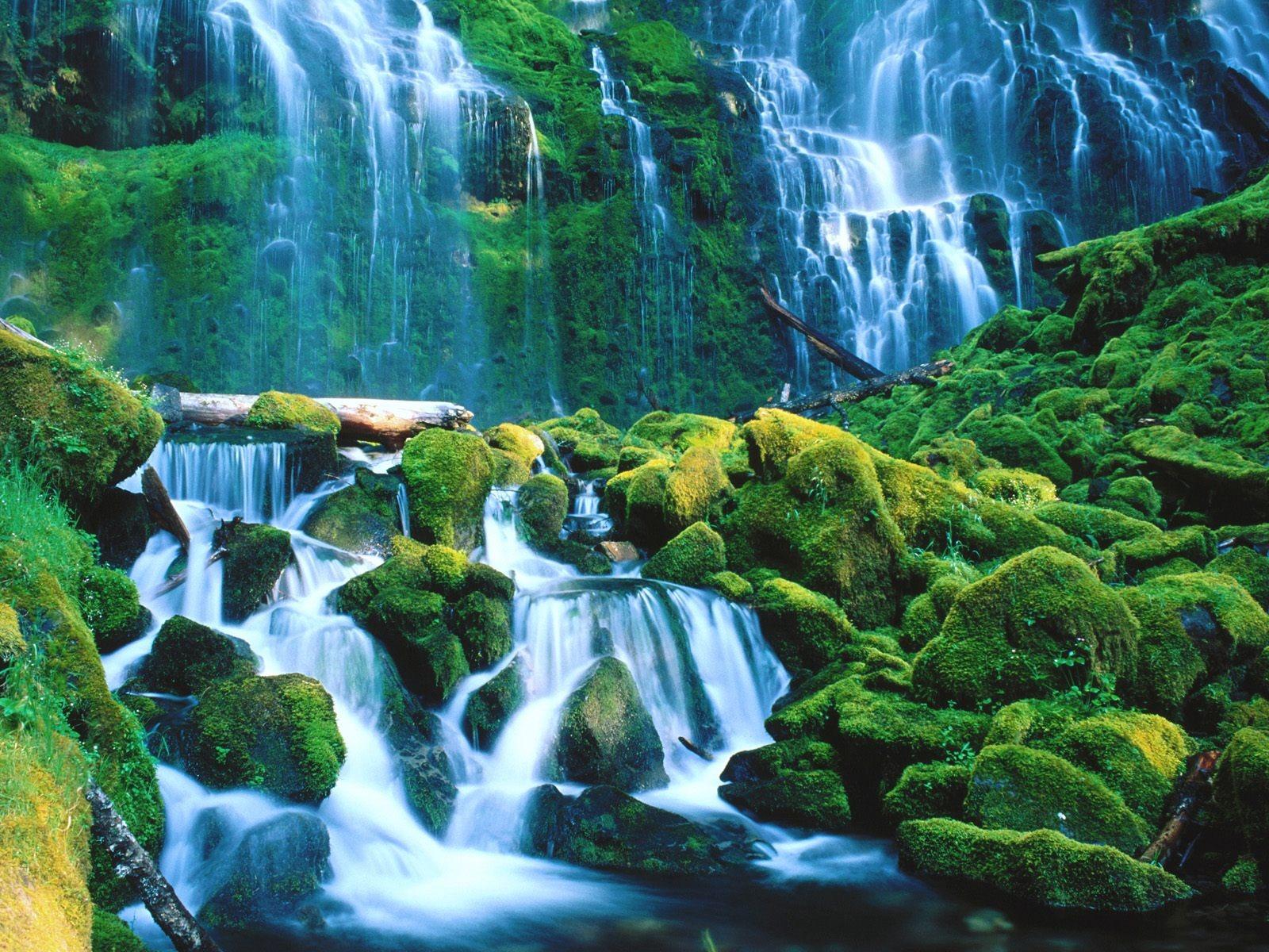 Proxy Falls Wallpaper Waterfalls Nature Wallpaper in jpg format
