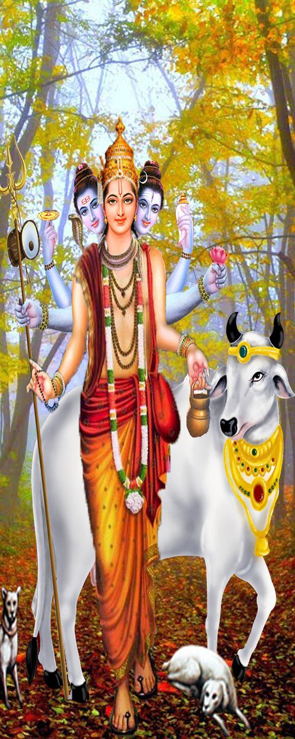 Lord dattatreya photo datta. dattatreya. dattatreya wallpaper