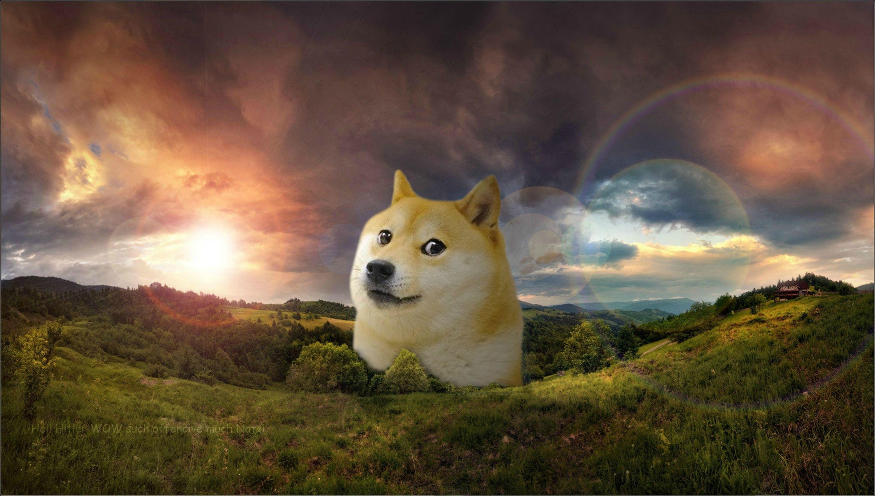 Doge Meme Wallpaper