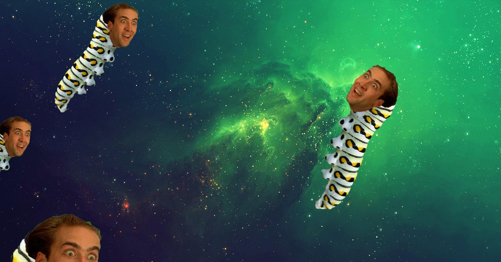 I like space, caterpillars, and Nicolas Cage