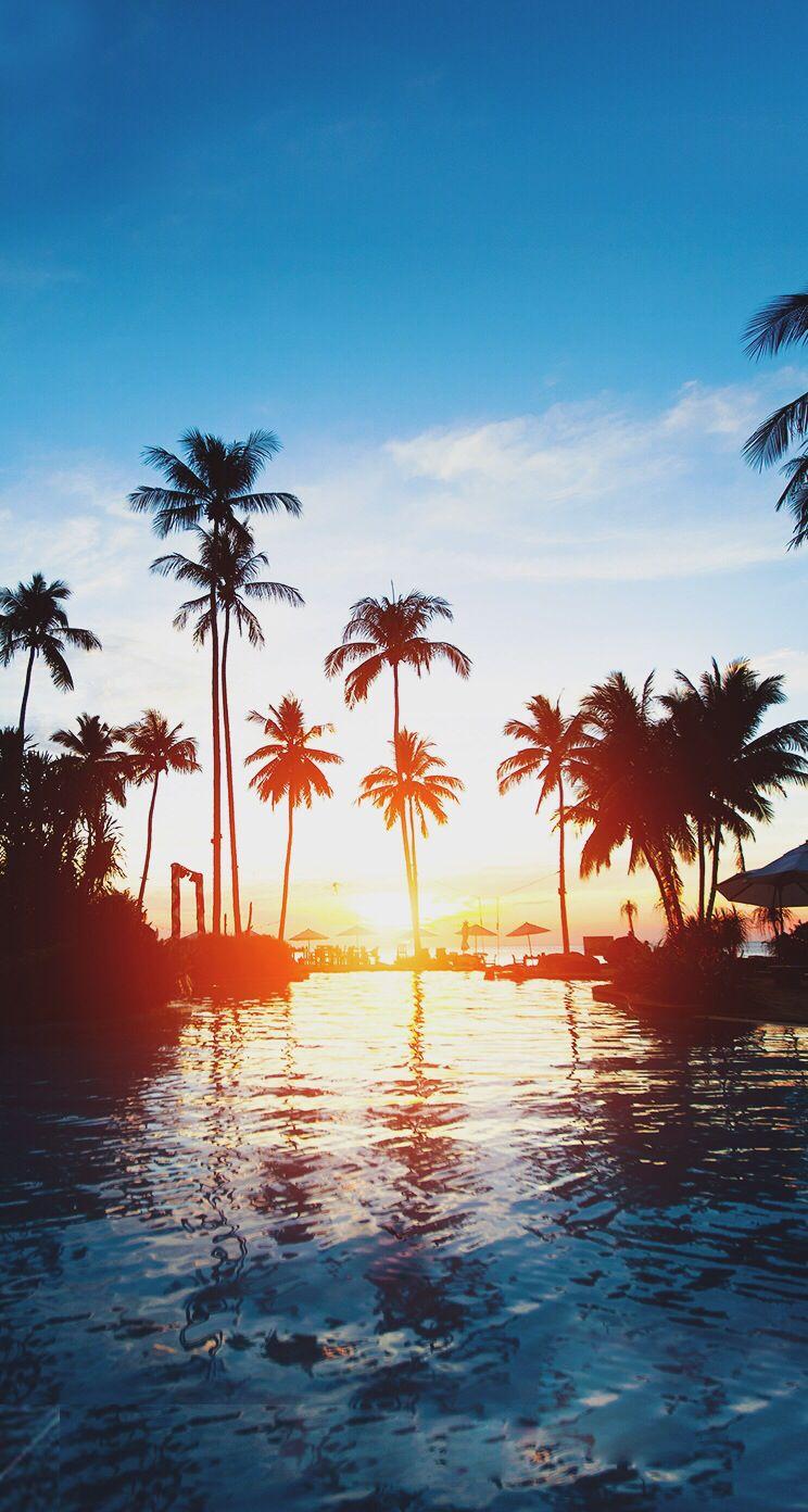 Beautiful sunset palm trees iphone wallpaper. iPhone background