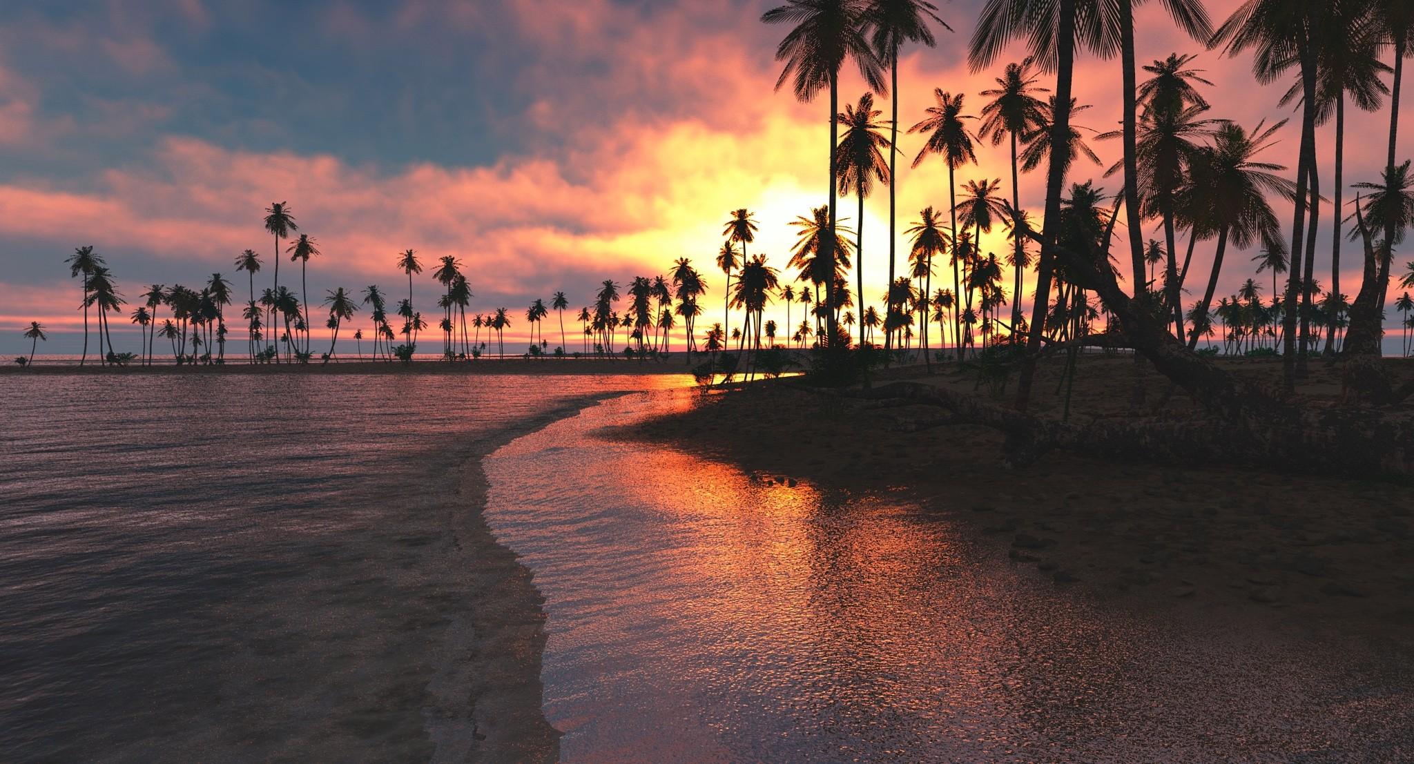 Palm Trees Sunset Sea, HD Nature, 4k Wallpaper, Image, Background