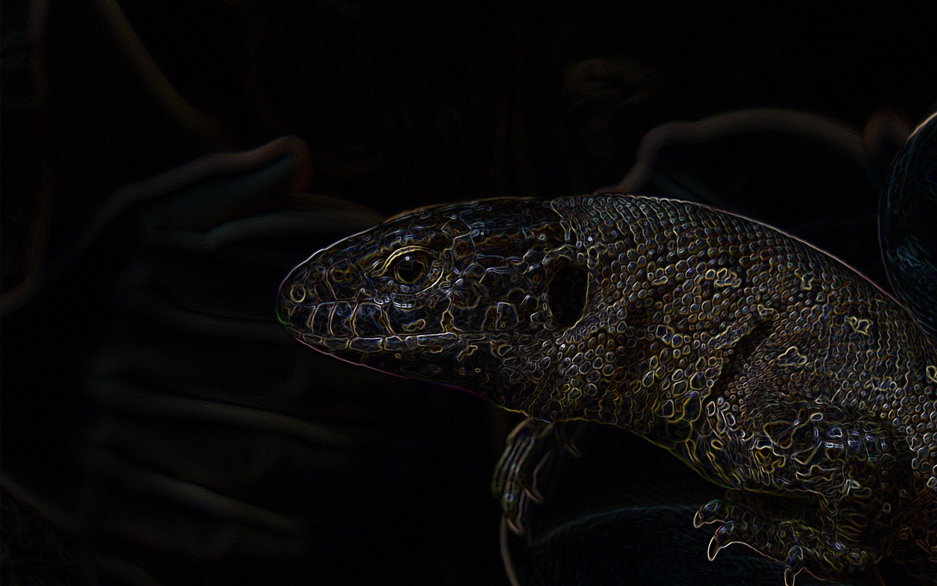 Dark Lizard wallpaper. Dark Lizard