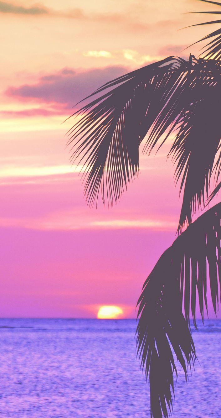 Pink Palm trees (summer beach night). Digital Wallpaper in 2019