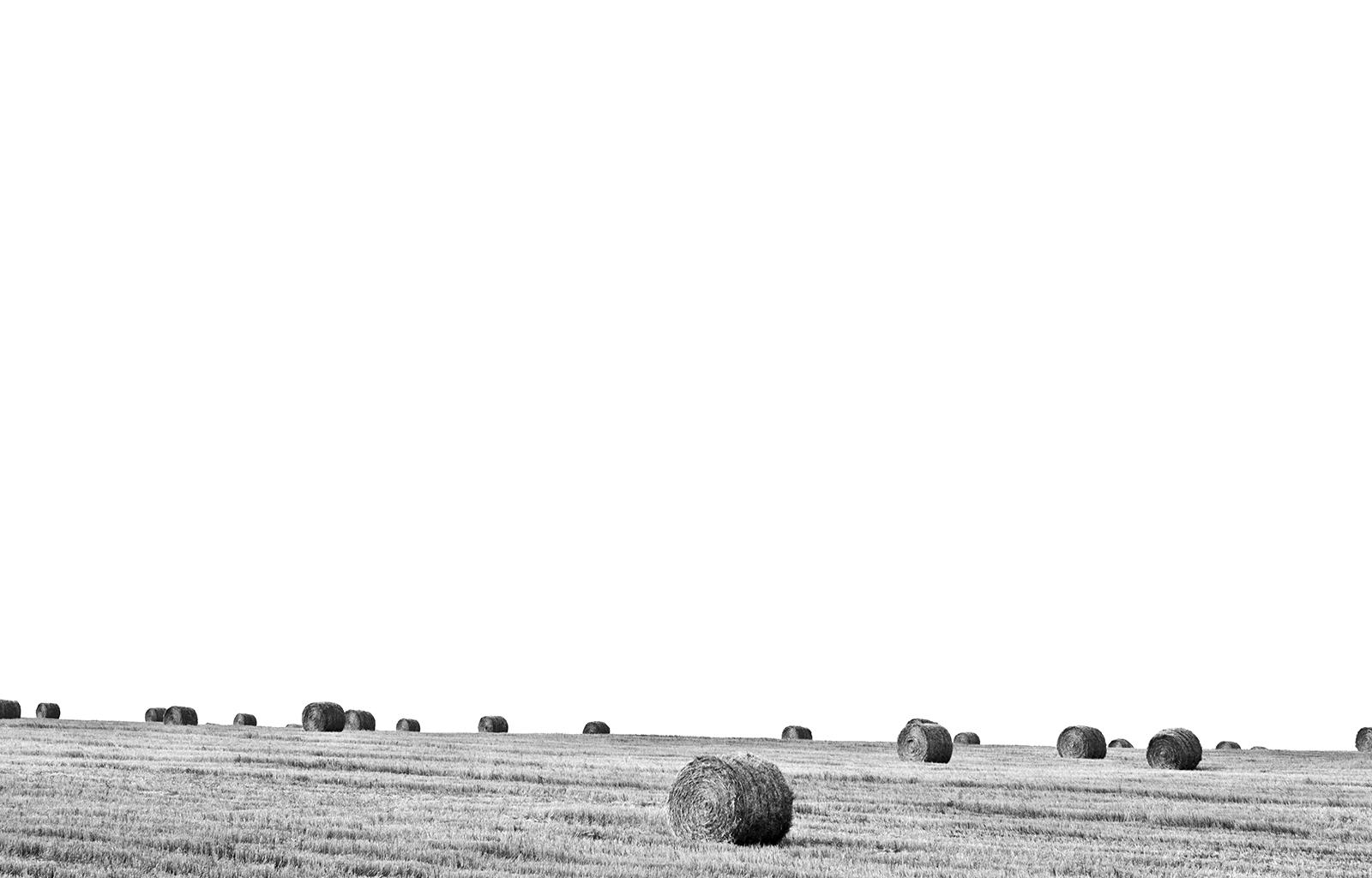 Black And White Nature Sky Field Hd Grayscale Image Black And White