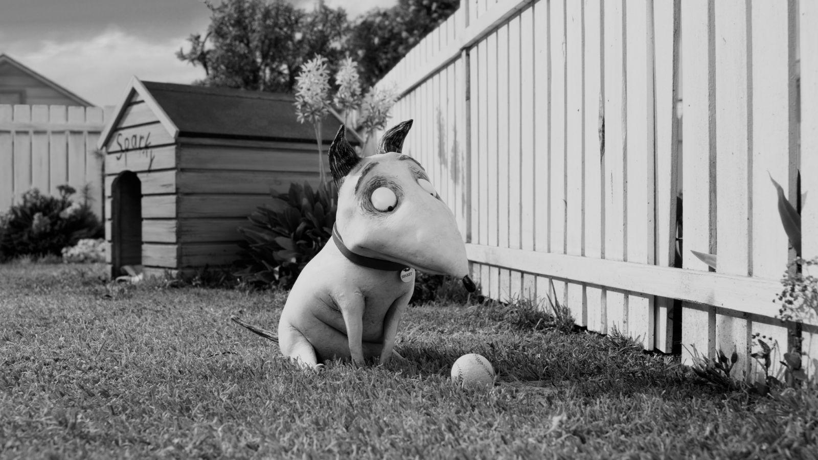 Frankenweenie HD New Wallpaper HD Wallpaper