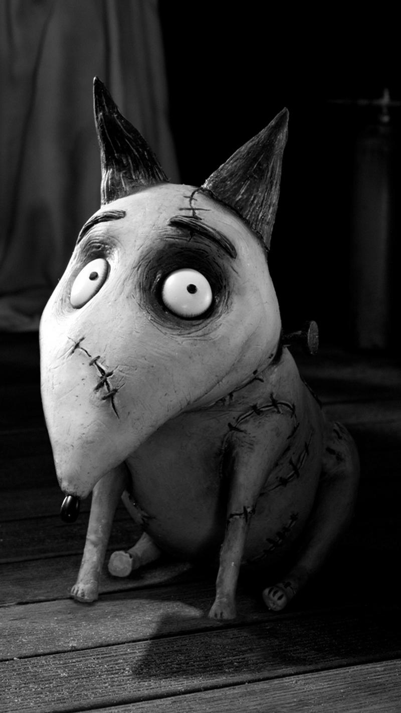 Download wallpaper 800x1420 frankenweenie, sparky, charlie tahan