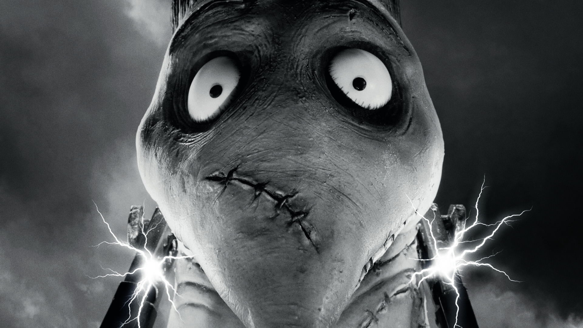 Frankenweenie HD Wallpaper