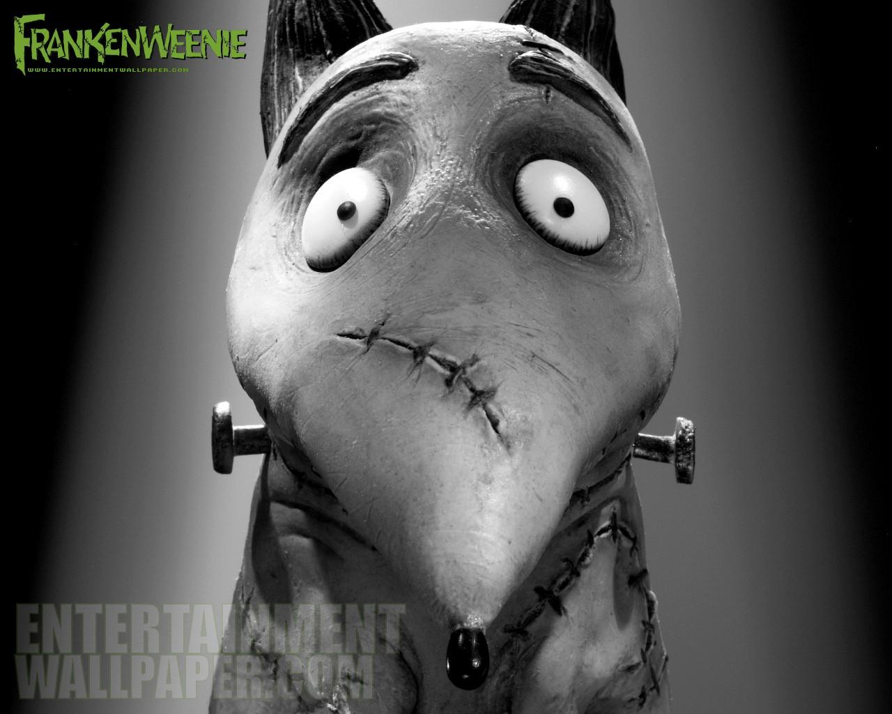 Frankenweenie Wallpaper