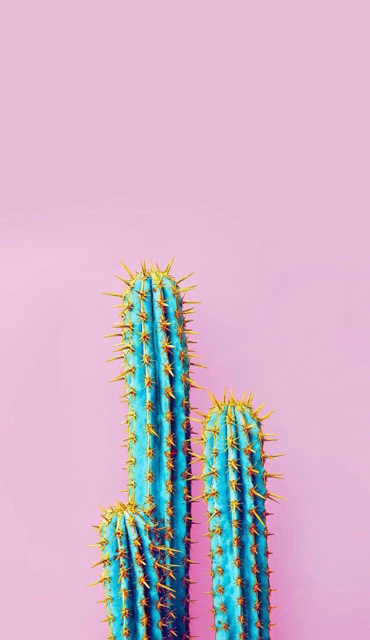 iPhone Wallpaper: Cactus iPhone Wallpaper (con immagini). Sfondi