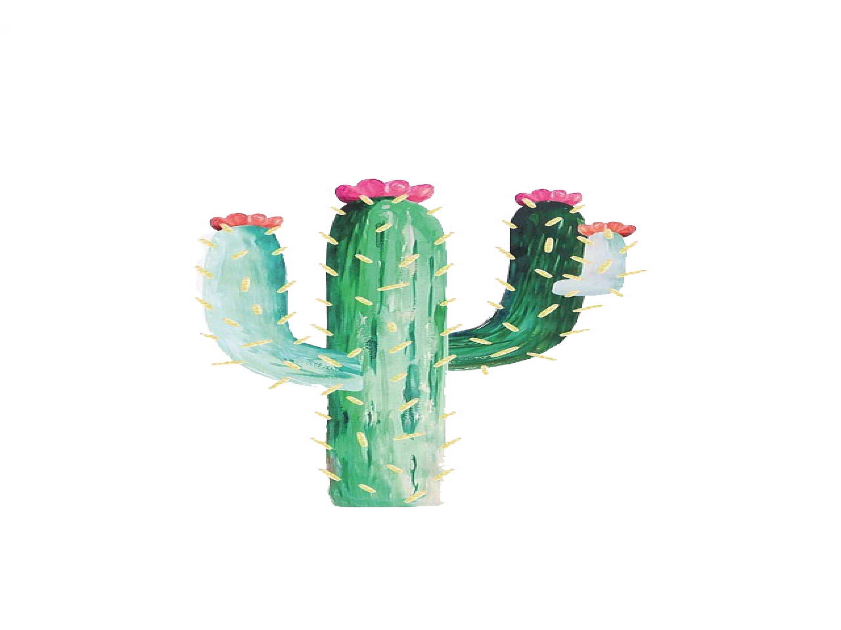 Free Cactus Wallpaper A28MA1