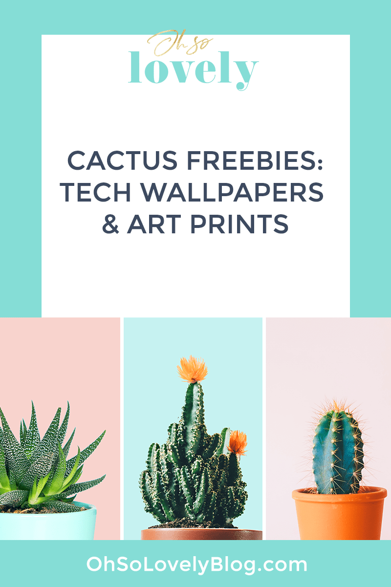 FREE cactus prints and tech wallpaper designs to choose from