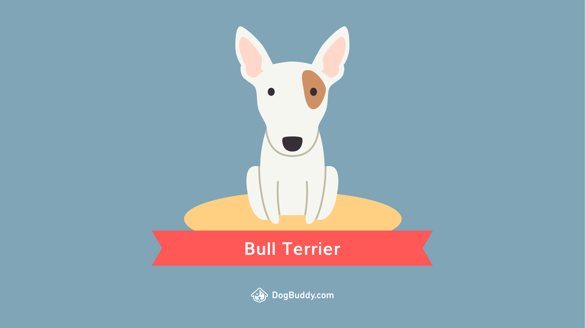 Woofpaper: Bull Terrier