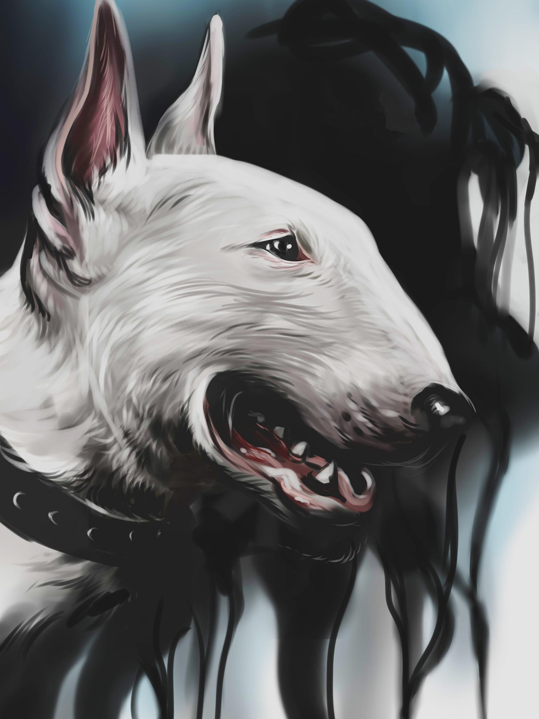 image Bull Terrier Dogs Snout Head Animals Painting Art 2048x2732