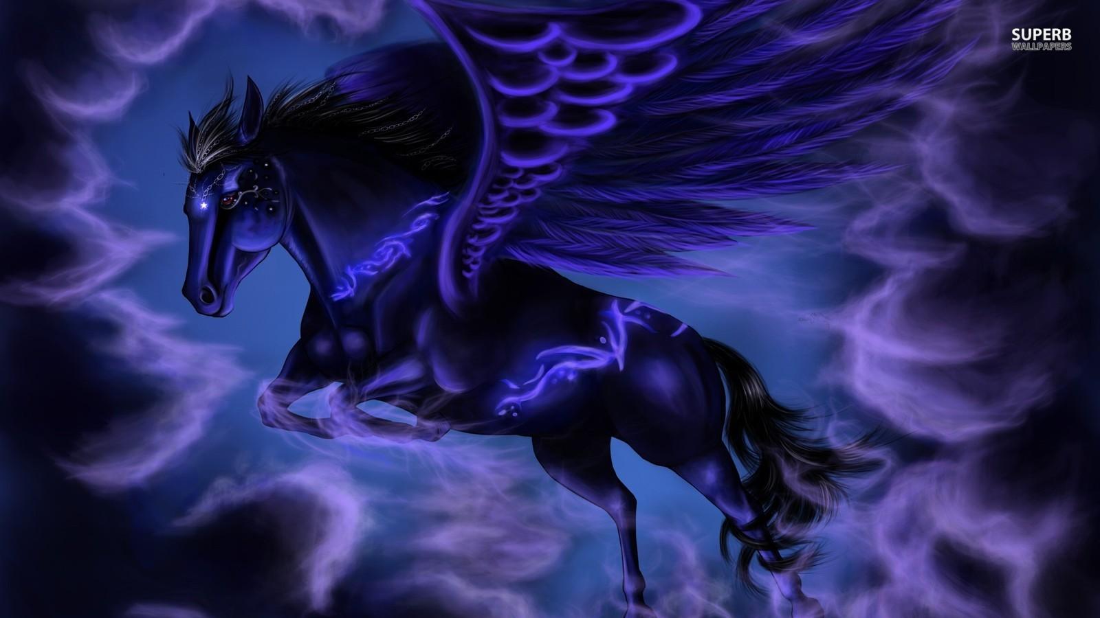 Pegasus image Black Pegasus HD wallpaper and background photo