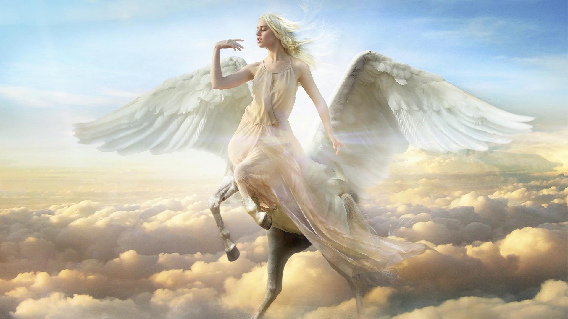 Pegasus Wallpaper HD Background, Image, Pics, Photo Free