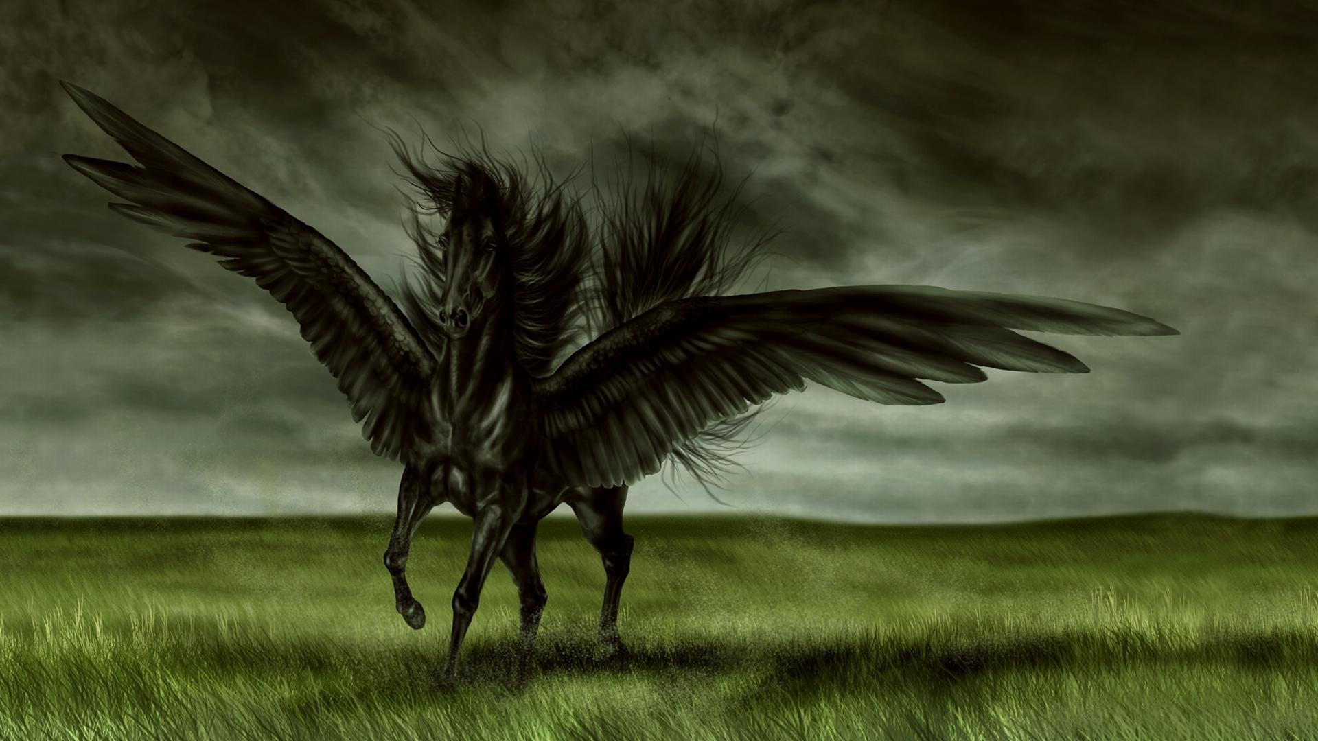 Black Pegasus HD Wallpaper