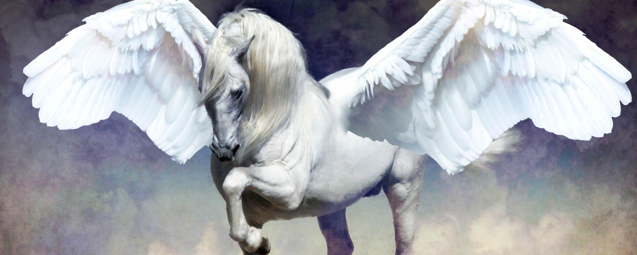 Pegasus Beautiful Wallpaper, Image Desktop Background In High